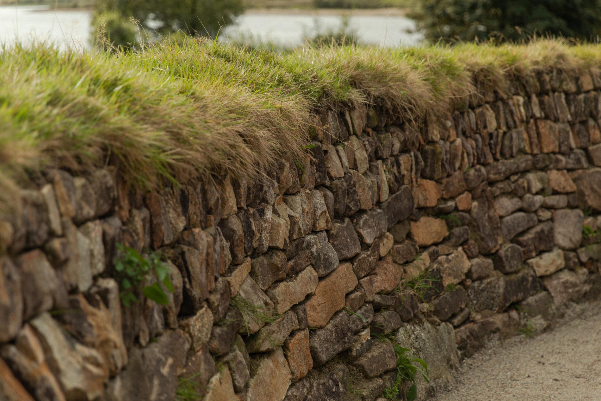 AHS x CS - kedroya.300-15