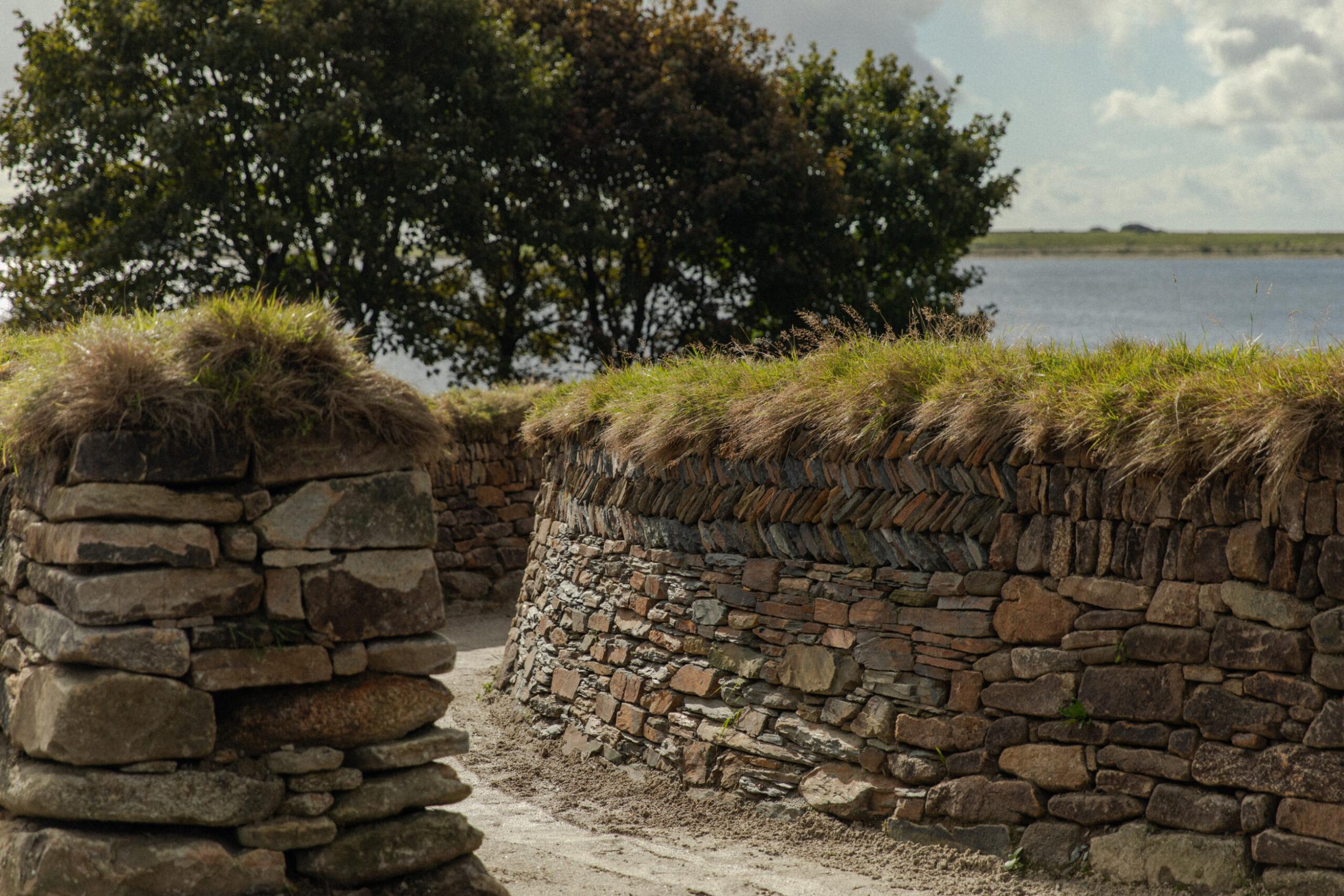 AHS x CS - kedroya.300