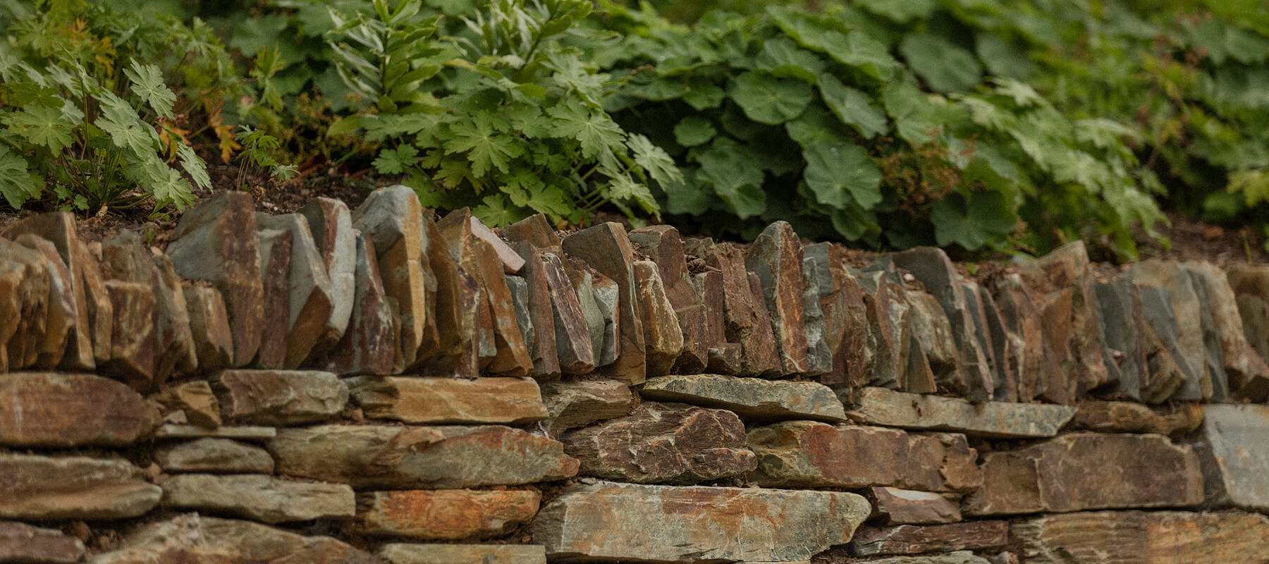 EHSCaradonXHS-376 - Hero Image