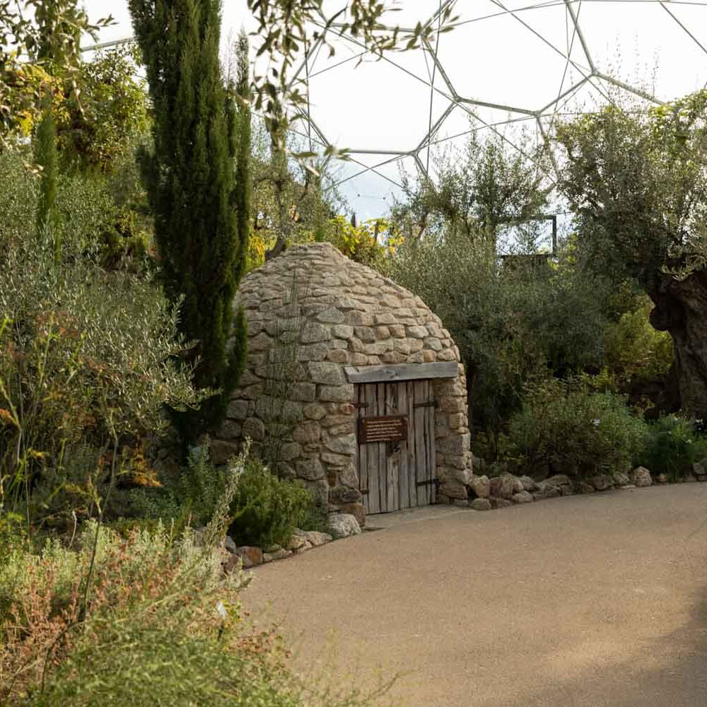 eden.project.300k-21